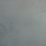 Jana-Čepa-Sen-4-olejomaľba-na-plátne-predajna-galeria