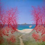 Peter-Solto-O-koralovej-plazi-olejomalba-na-platne-umelecke-dielo