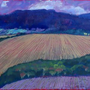 Miroslav-Bucher-Portret-zeme-Fialova-olejomalba-na-platne-predaj-obrazov