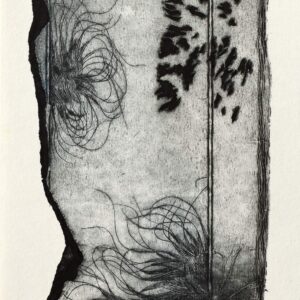 Katarina-Salekova-Machorasty-sucha-ihla-slovenska-grafika