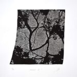 Katarina-Salekova-Nebeske-oko-linoryt-predaj-obrazov