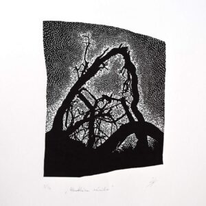 Katarina-Salekova-Struktura-zaniku-linoryt-sucasna-tvorba