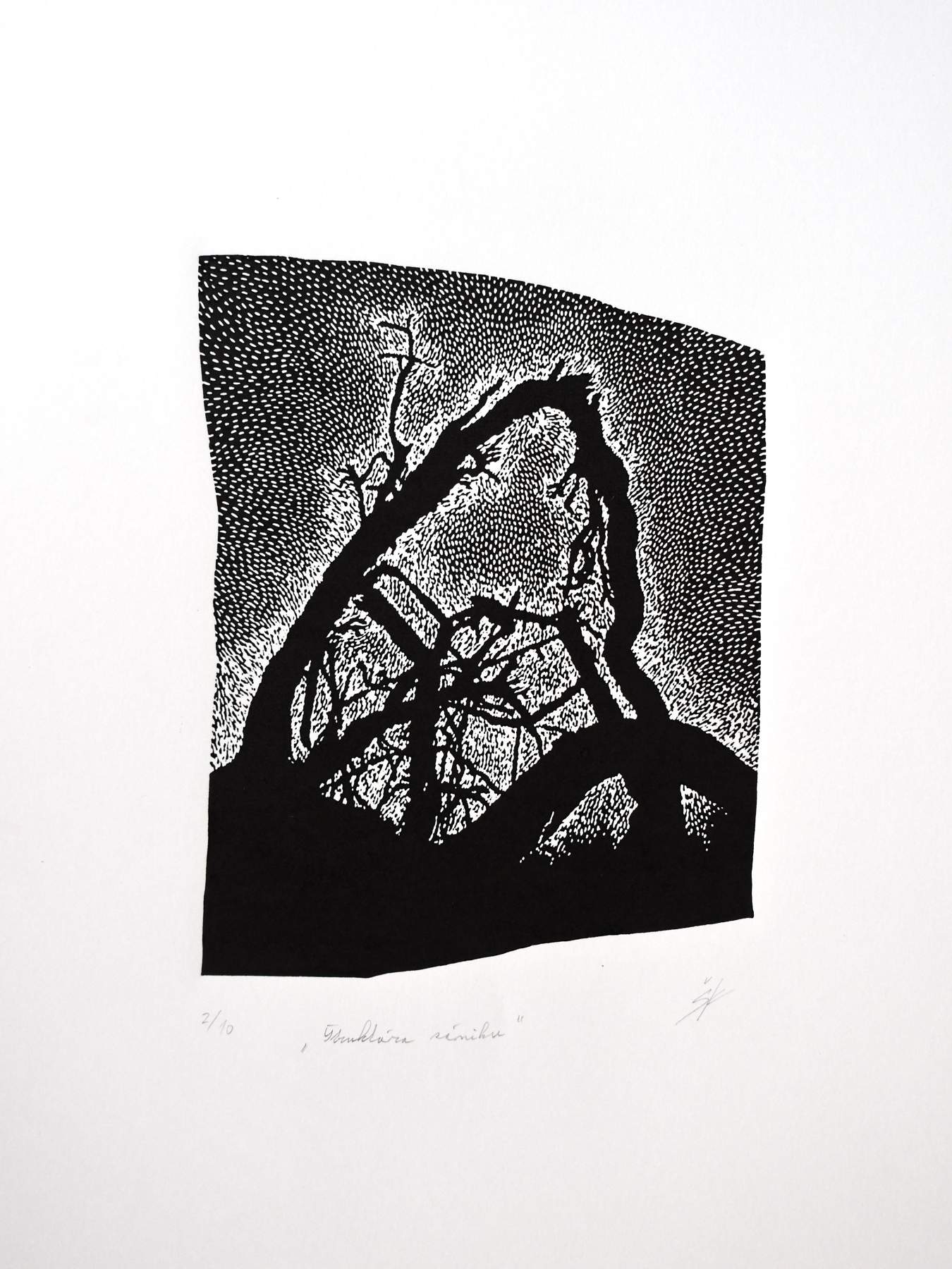 Katarina-Salekova-Struktura-zaniku-linoryt-sucasna-tvorba