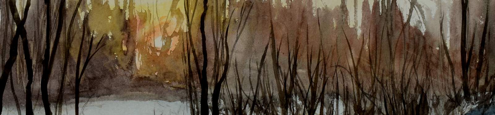 Katarína Šáleková - header